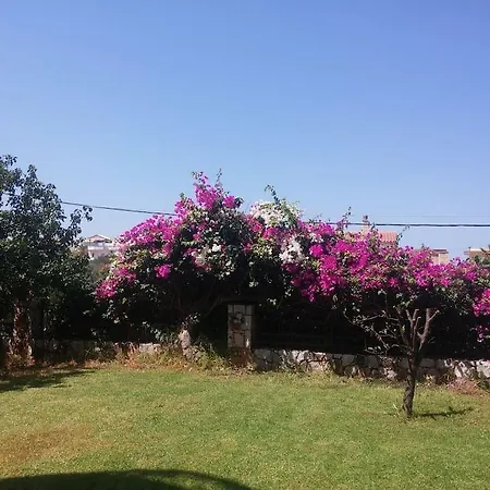 Holiday home Maria's Garden *