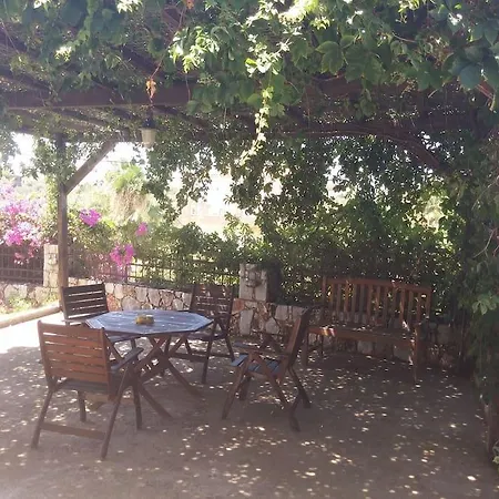Maria's Garden